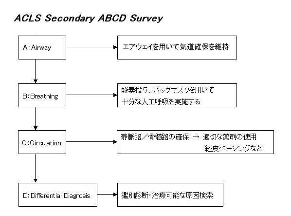 ACLS　Secondary ABCD Survey.jpg